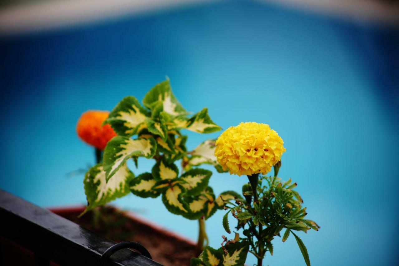 Can Otel Bodrum Ngoại thất bức ảnh